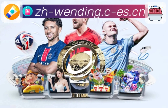 实用功能认证展示